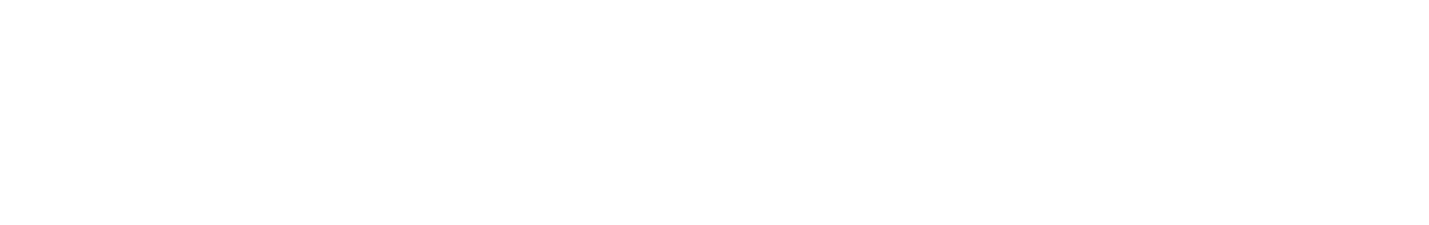 MEGO LOGO RIGHT